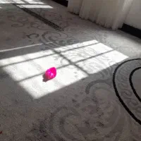 منزل کلنگی ارسنجان