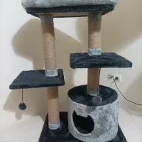 اسکرچر گربه