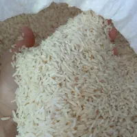 بزنج هاشمی درجه ۱