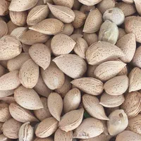 بادام شیرین ودوقلو|خوردنی و آشامیدنی|اصفهان, الهیه|دیوار