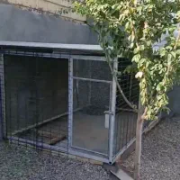 قفس حیوانات فنس کاری ،فورری،