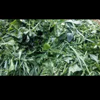 انواع سبزی خورشتی|خوردنی و آشامیدنی|اهواز, سیاحی(سه راه خرمشهر)|دیوار