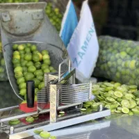 اسلایسر کشویی تیغه سیاه لیمو ترش|خردکن، آسیاب، غذاساز|داراب, |دیوار