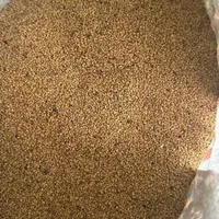 بذر یونجه دانه درشت|خدمات باغبانی و درختکاری|کامیاران, |دیوار