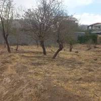 زمین-سخوید