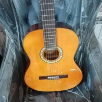 گیتار hofner