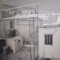 پرون کبوتر درجه یک تکمیل