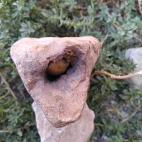 پی سوز سنگی باستان قدیمی|کلکسیون اشیاء عتیقه|خرمآباد, |دیوار