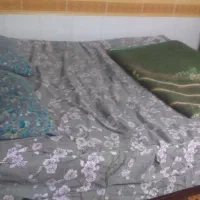 اجاره خانه مسافر(مبله)درمیانرود( بهارستان)|اجارهٔ کوتاهمدت آپارتمان و سوئیت|شیراز, شیخ روزبهان|دیوار