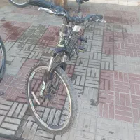 کوچک بودن دوچرخه ۲۴ وخرید دوچرخه بزرکنر