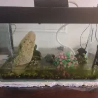 آکواریوم بزرگ کاملا سالم