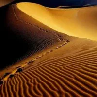 تور کویر (کویر مصر )
