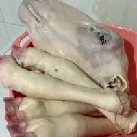 کله پاچه|خوردنی و آشامیدنی|نورآباد ممسنی, |دیوار