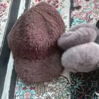 هد روسی  گوشگیر کلاه تدی|لباس|نسیم‌شهر, |دیوار