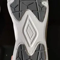 کفش اسکیچرز|کیف، کفش، کمربند|بندر ماهشهر, |دیوار