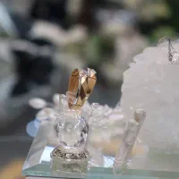 عکاسی