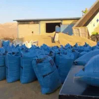 بلغور جو دامی