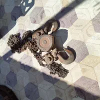 جرثقیل ژاپنی اصل