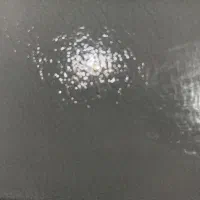 گم شدن مدارک