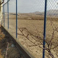 تولیدی فنس ، حصار باغی چشمه|عمده‌فروشی|سیرجان, |دیوار