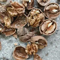 گردو و بادام