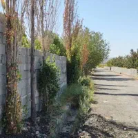 باغچه و باغ / سند اب سهمیه ای /دیوار و در ماشین رو|فروش زمین و ملک کلنگی|تهران, نعمت‌آباد|دیوار