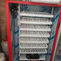 دستگاه جوجه کشی مشهد برق