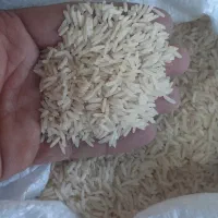 عرضه مستقیم برنج گیلان