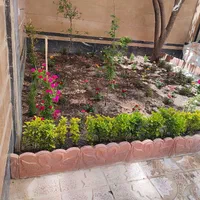خدمات باغبانی طراحی فضای سبز کاشت گل|خدمات باغبانی و درختکاری|تهران, پاسداران|دیوار