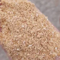 گندم بذری پیشگام سبوس گندم و تفاله پرک  گندم دامی|خدمات باغبانی و درختکاری|تربت جام, معدآباد|دیوار