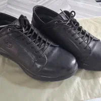 کفش مردانه نو چرم