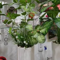 لباس مجلسی دارم برای فروش