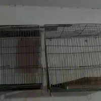 قفس پرنده|لوازم جانبی حیوانات|بروجرد, |دیوار