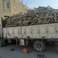 بریدن درخت با اره موتوری|خدمات باغبانی و درختکاری|اردکان, |دیوار