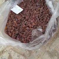 کشمش کیلویی ۵۵۰۰۰۰
