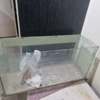 اکواریوم