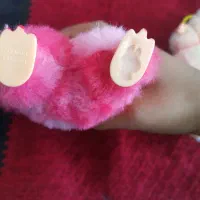 سلام لبوبو اصل، قیمت 4700000تومان|اسباببازی|مروست, |دیوار