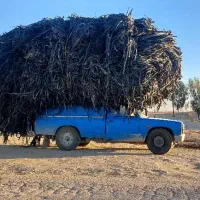 مرکز خرید ضایعات نوار تیپ زنده