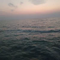 باغ ویلا نزدیک به ساحل دریا در. بندرزیبای گناوه|اجارهٔ کوتاهمدت ویلا و باغ|بندر گناوه, |دیوار