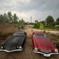 فروش و اجاره