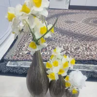 لوازم دکوری|صنایع دستی و سایر لوازم تزئینی|شاهین دژ, |دیوار