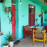 فروش باغ جاده سرابننیز|فروش دفتر صنعتی، کشاورزی، تجاری|دوگنبدان, |دیوار