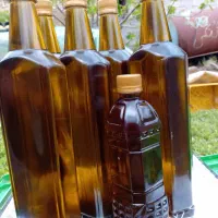 زیتون کنسروی بی هسته و روغن زیتون درجه یک بشر|عمده‌فروشی|طارم, |دیوار