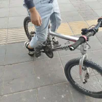 دوچرخه|دوچرخه، اسکیت، اسکوتر|تربت جام, والفجر|دیوار