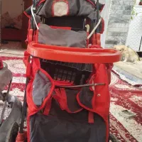 کالسکه درحد نوهستش تخفیفم داره