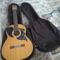 یک عدد گیتار کاملاً سالم وبدون ایراد و دست ساز|گیتار، بیس، امپلیفایر|چالوس, |دیوار