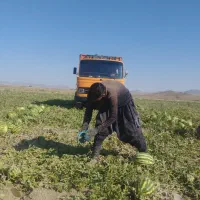 خاور ۸۰۸|خودرو سنگین|قم, آزادگان|دیوار