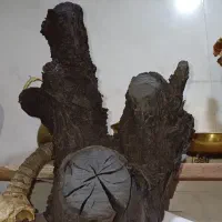 ذغال کبابی
