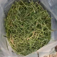 یونجه یک کیلویی شادپت و توبی پت