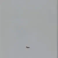 پکیج بوتان pavia28Rsi آکبند و نو